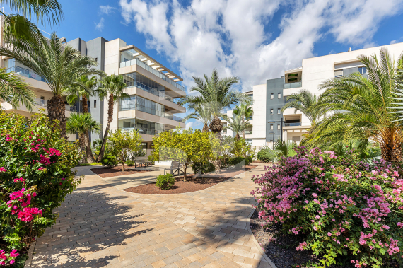 Apartamento - Segunda Mano - ORIHUELA COSTA - Villamartin