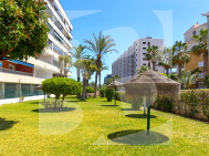 Apartment · Resale TORREVIEJA · Rocio del Mar