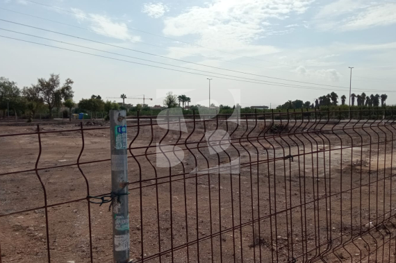  - Segunda Mano - Los Montesinos - La Herrada