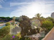 A · Odsprzedaż Guardamar del Segura · Pinomar