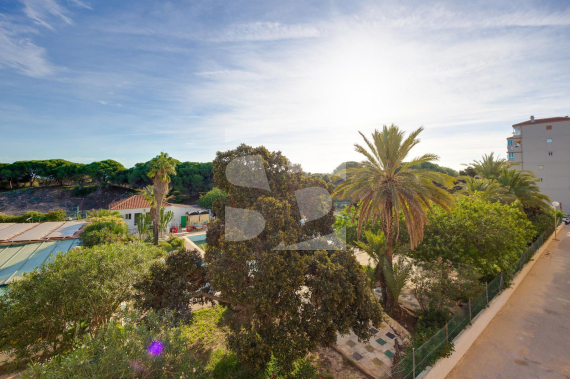 A - Odsprzedaż - Guardamar del Segura - Pinomar