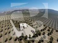 Villa · Obra Nueva ALGORFA · Lomas De La Juliana