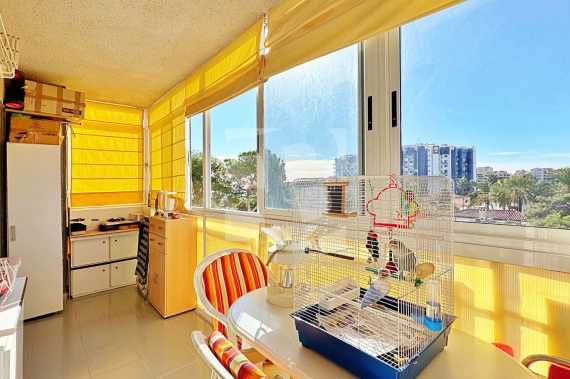 Apartamento - Segunda Mano - TORREVIEJA - Rocio del Mar