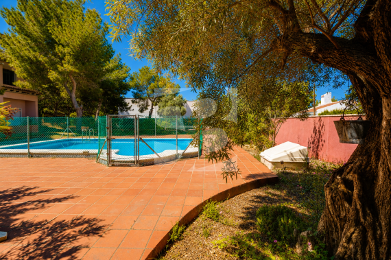 C - Resale - SAN MIGUEL DE SALINAS - San Miguel De Salinas