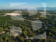 Attique · Nouvelle construction Godella · Campolivar