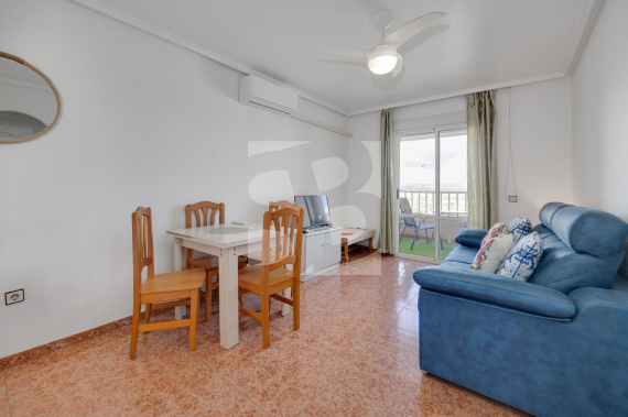 p - Segunda Mano - TORREVIEJA - Parque las naciones