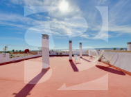 A · Odsprzedaż TORREVIEJA · San Luis