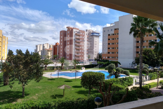  - La Revente - Guardamar del Segura - Avenida del Puerto