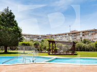 T · Продажа TORREVIEJA · La Siesta - El Chaparral - San Luis