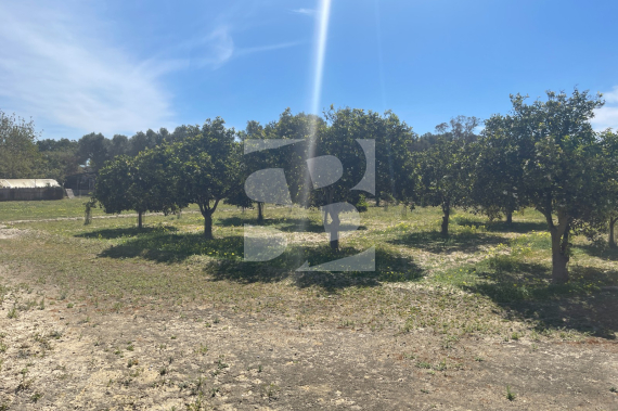  - Resale - Rojales - Rojales