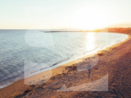 Appartement · Nouvelle construction Almerimar