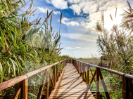 A · Segunda Mano TORREVIEJA · La Mata