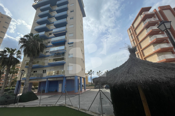  - Segunda Mano - Guardamar del Segura - Puerto Deportivo
