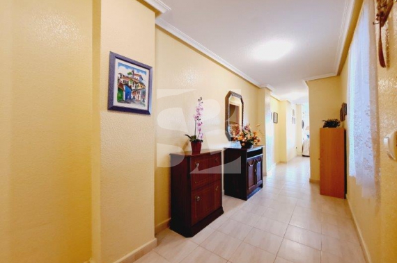 Appartement - La Revente - La Mata - La Mata