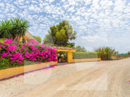 D · Resale LOS MONTESINOS · Los Montesinos