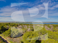 A · Odsprzedaż TORREVIEJA · San Luis