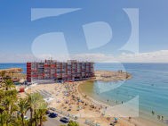T · Продажа TORREVIEJA · Los Angeles