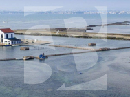 Villa · Nouvelle construction SAN PEDRO DEL PINATAR · Los Plazas