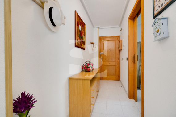 A - Odsprzedaż - TORREVIEJA - El Acequión - Los Náufragos