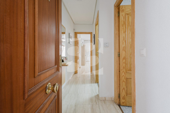 A - Segunda Mano - TORREVIEJA - Playa del Acequión