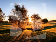Villa · Obra Nueva PILAR DE LA HORADADA · Lo Romero Golf