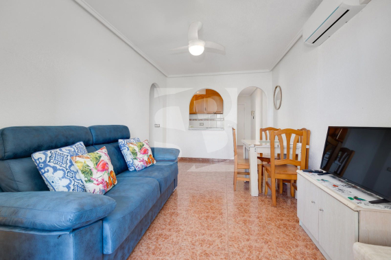 p - Segunda Mano - TORREVIEJA - Parque las naciones