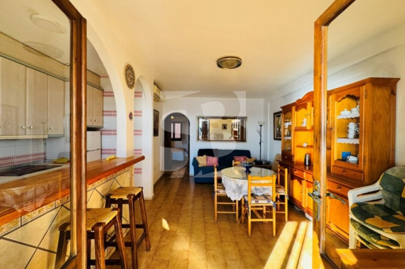 Appartement - La Revente - La Mata - La Mata