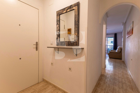 Apartamento - Segunda Mano - TORREVIEJA - Torrevieja