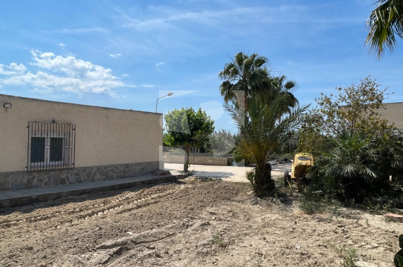 - Продажа - Crevillent - Crevillente