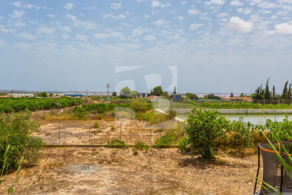 D - Segunda Mano - LOS MONTESINOS - Los Montesinos