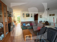 C · Segunda Mano TORREVIEJA · Los Balcones