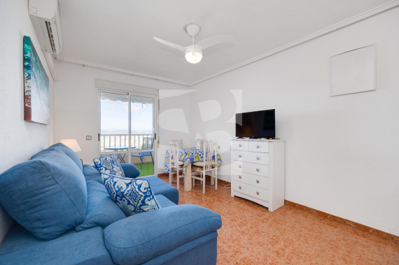 p - Segunda Mano - TORREVIEJA - Parque las naciones