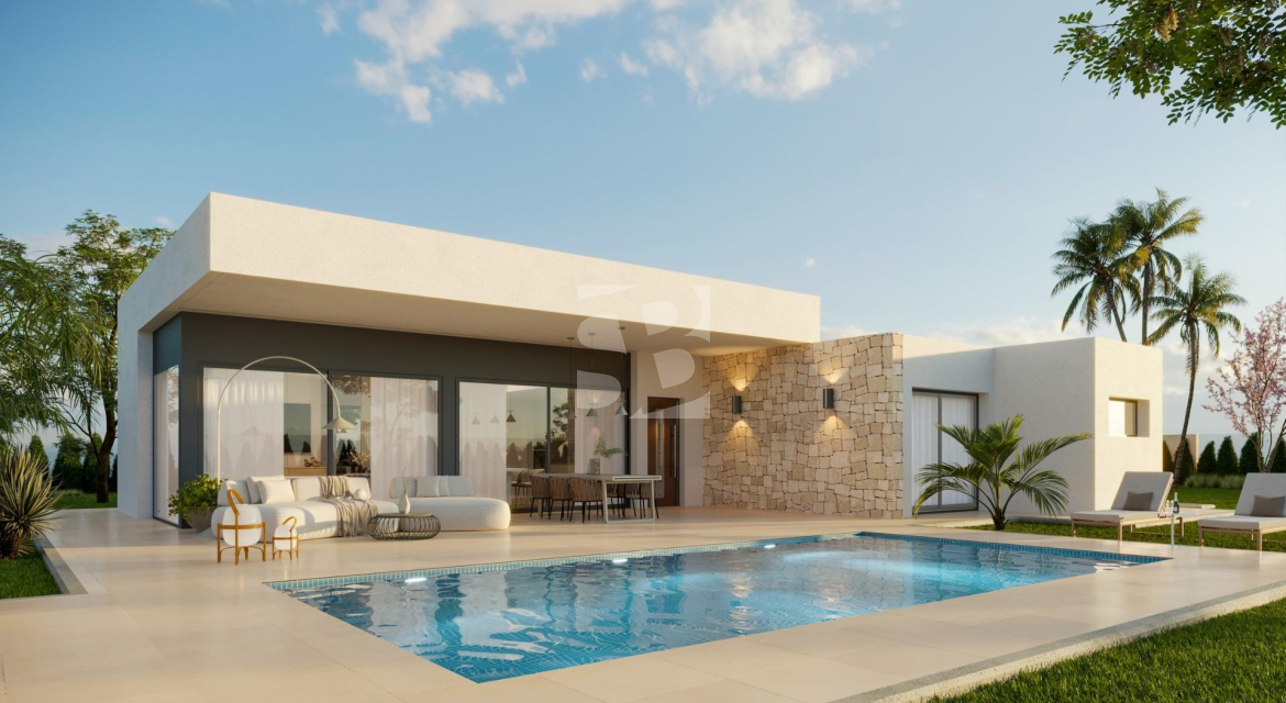 Villa · Obra Nueva Aspe · Poligono 19