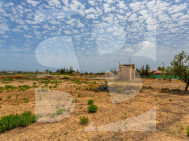 D · La Revente LOS MONTESINOS · Los Montesinos