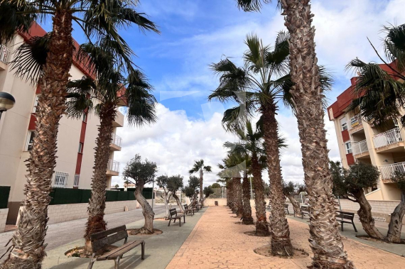 Apartamento - Obra Nueva - ORIHUELA COSTA - Lomas De Cabo Roig