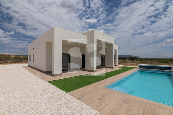 Villa - New Build - Pinoso - Lel