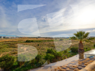 B · Odsprzedaż TORREVIEJA · Carrefour