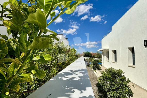 Villa - New Build - BENIJOFAR - Pueblo