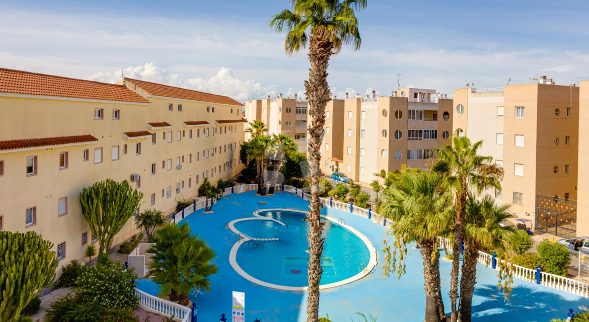 A · Segunda Mano TORREVIEJA · San Luis