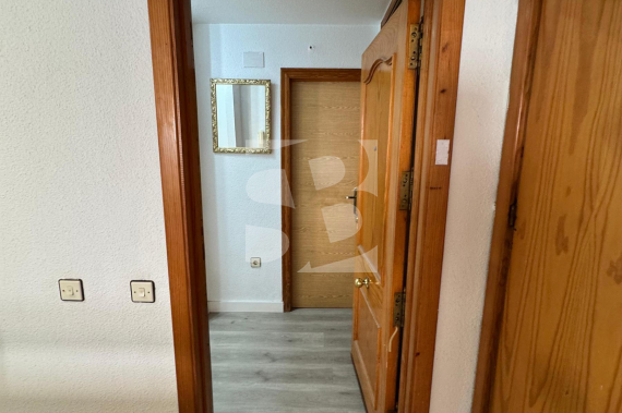 E - Segunda Mano - TORREVIEJA - Playa de Los Locos-Curva del Palangre