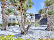 Attique · La Revente ORIHUELA COSTA · Punta Prima
