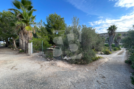  - La Revente - Jacarilla - Jacarilla