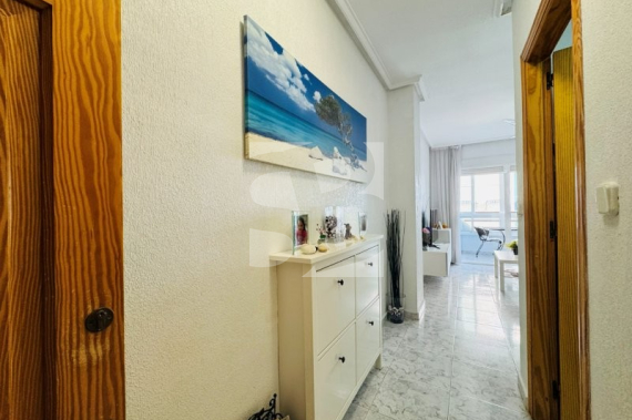 Apartment - Resale - La Mata - Torrevista Playa