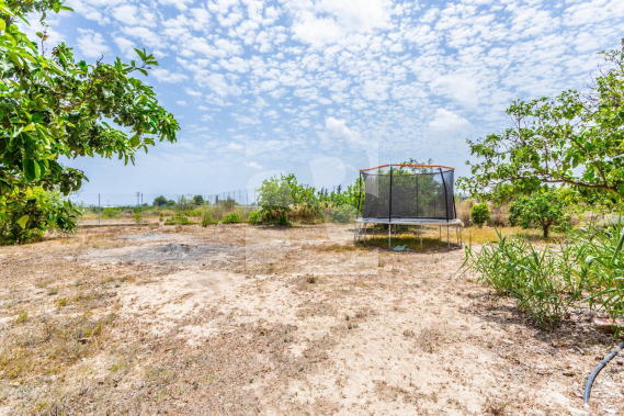 D - Resale - LOS MONTESINOS - Los Montesinos