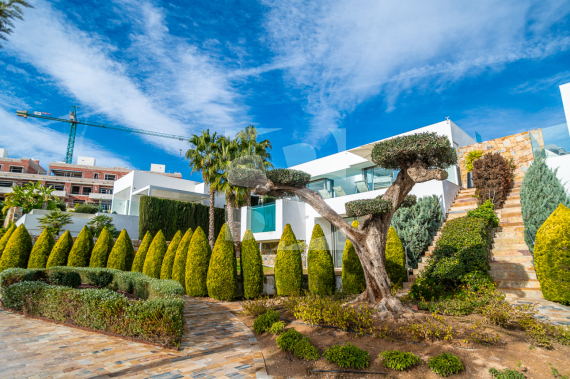 A - Segunda Mano - ORIHUELA - Orihuela