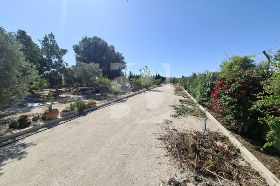  - Resale - Guardamar del Segura - Guardamar del Segura