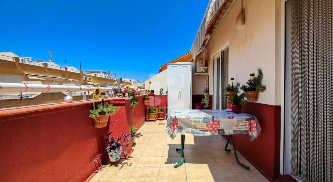 p · Segunda Mano TORREVIEJA · Playa Del Cura