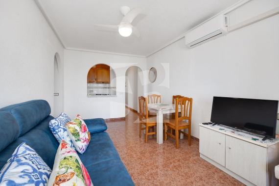 p - Segunda Mano - TORREVIEJA - Parque las naciones