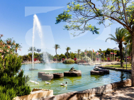 p · Segunda Mano TORREVIEJA · Parque las naciones