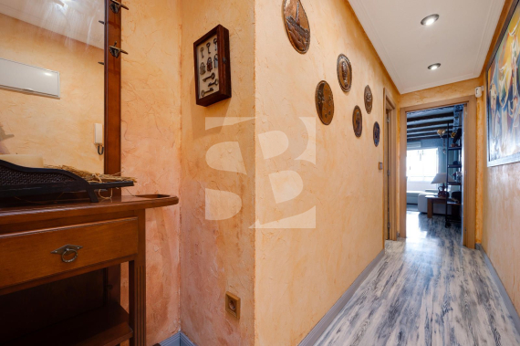 A - Segunda Mano - TORREVIEJA - Acequion